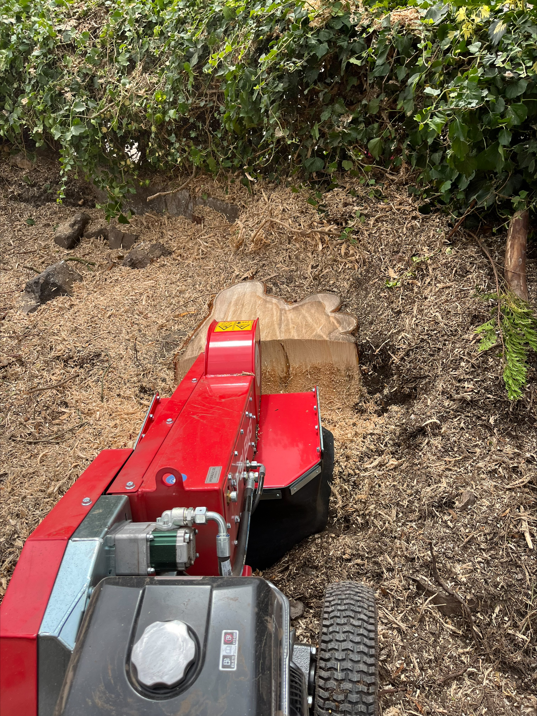 Professional stump grinding and removal