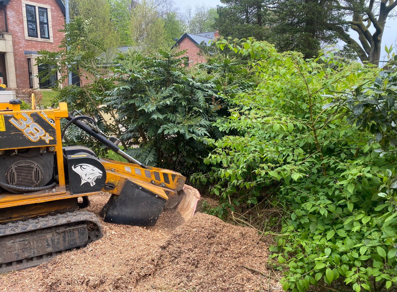 Tree stump removal